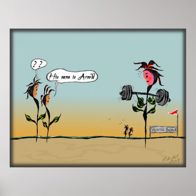 California Dreamin' Poster (Vorne)