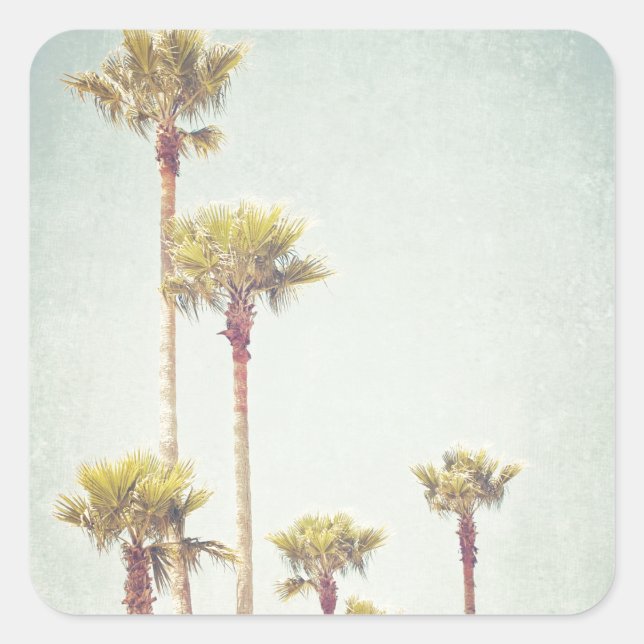 California Dreaming Retro Palm Tree Fotografy Quadratischer Aufkleber (Vorderseite)