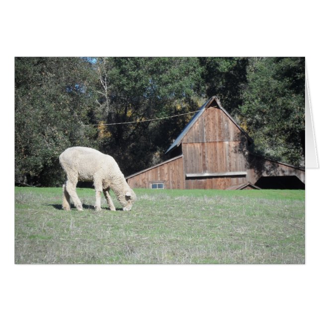 California Farm (Vorderseite (Horizontal))