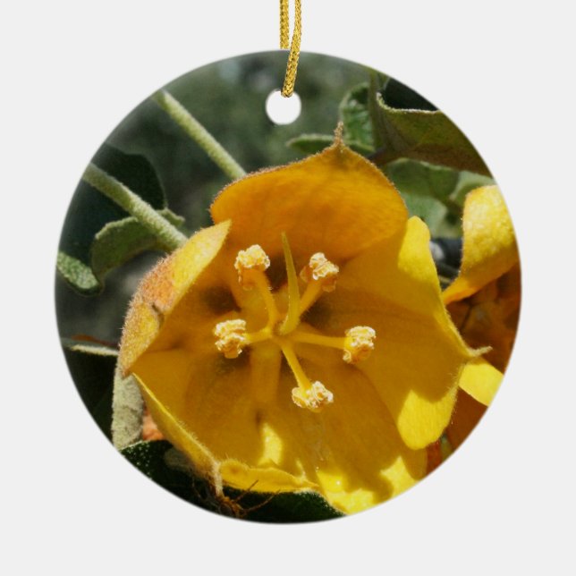 California Flannel Bush Keramikornament (Vorne)