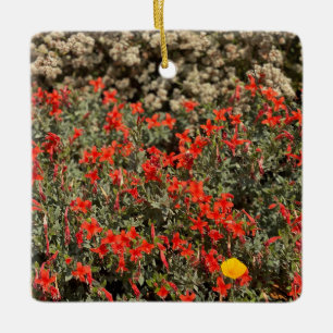 California Fuchsia Keramikornament