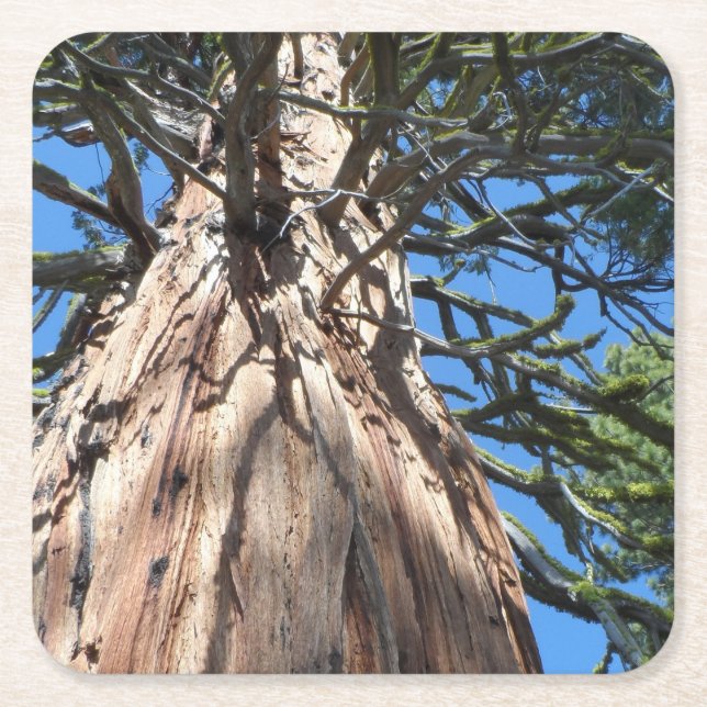 California Giant Rechteckiger Pappuntersetzer (Vorderseite)