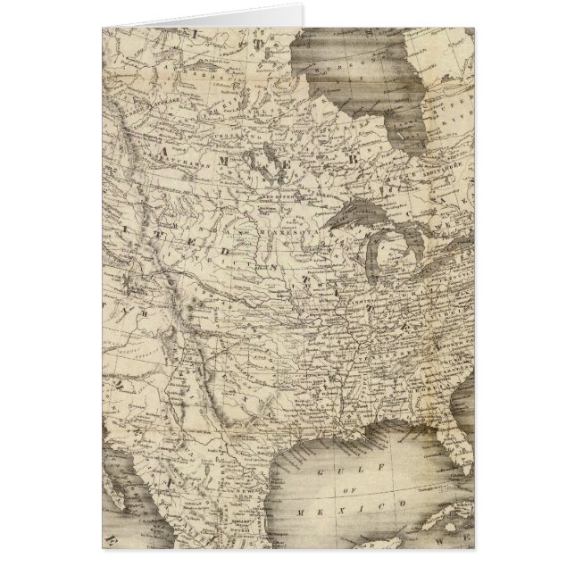 California Gold Rush (Vorne)