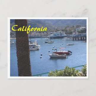 California Got Sushi Postcard Postkarte