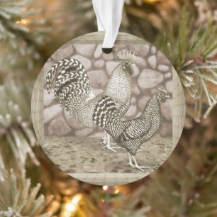 California Graue Hühner Ornament