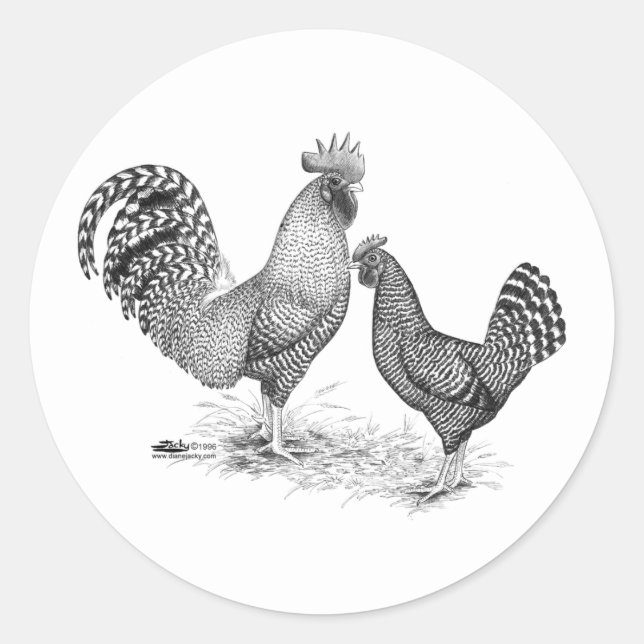 California Gray Rooster und Hen Runder Aufkleber (Vorderseite)