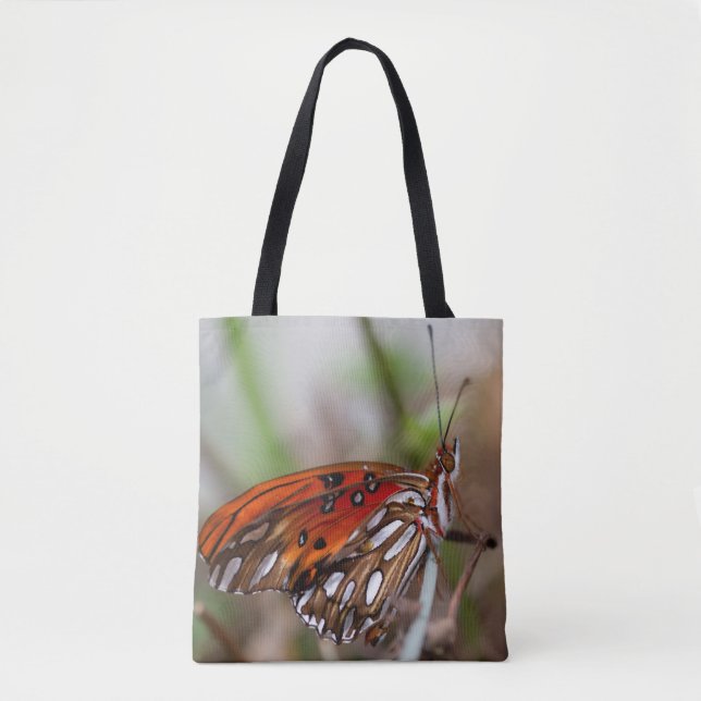 California Gulf Fritillary Butterfly (Vorderseite)