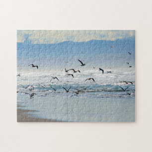 California Gulls Flying Puzzle