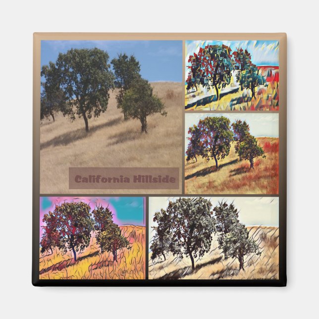 California Hillside Abstrakt Foto Collage 9979 Magnet (Vorne)