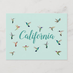 California Hummingbirds Postkarte