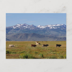 California HWY 395 Landschaft Postkarte