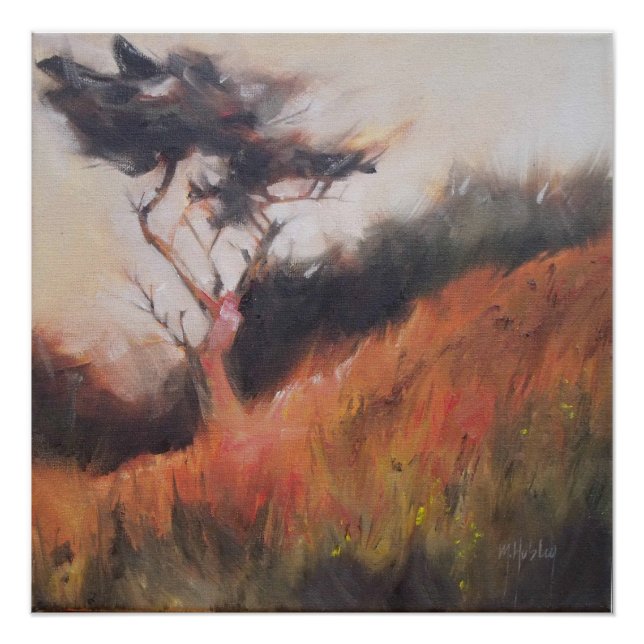 California Monterey Cypress Lone Tree Poster (Vorderseite)