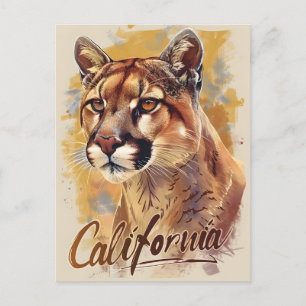 California Mountain Lion Cougar Portrait Postkarte