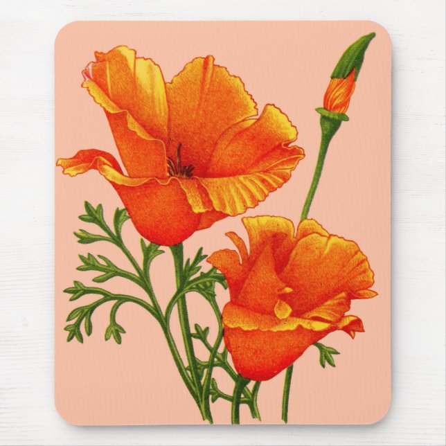 California Mousepad (Vorne)