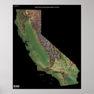 California NED Poster