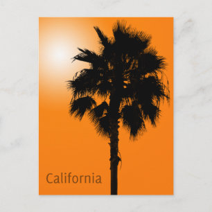 California Palm Postkarte