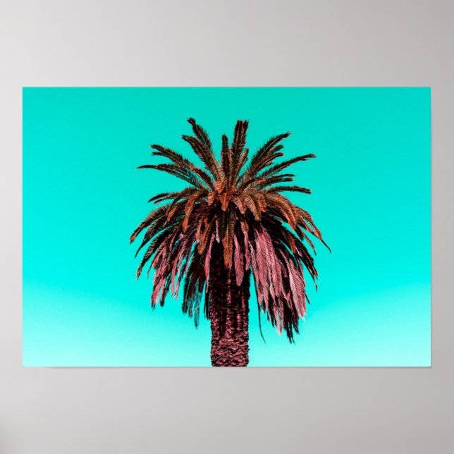 California Palm Tree Poster (Vorne)