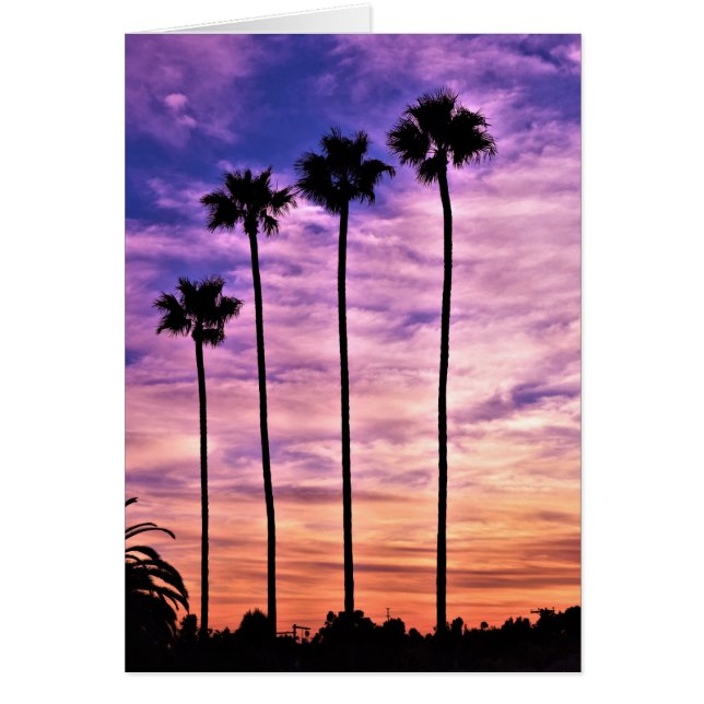 California Palm Tree Sunset (Vorne)