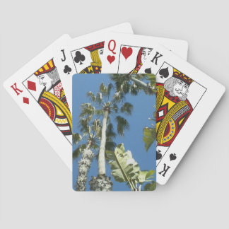 California Palm Trees and Blue Skies Cards Spielkarten