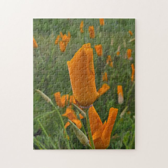 California Poppies as Buds Puzzle (Vertikal)