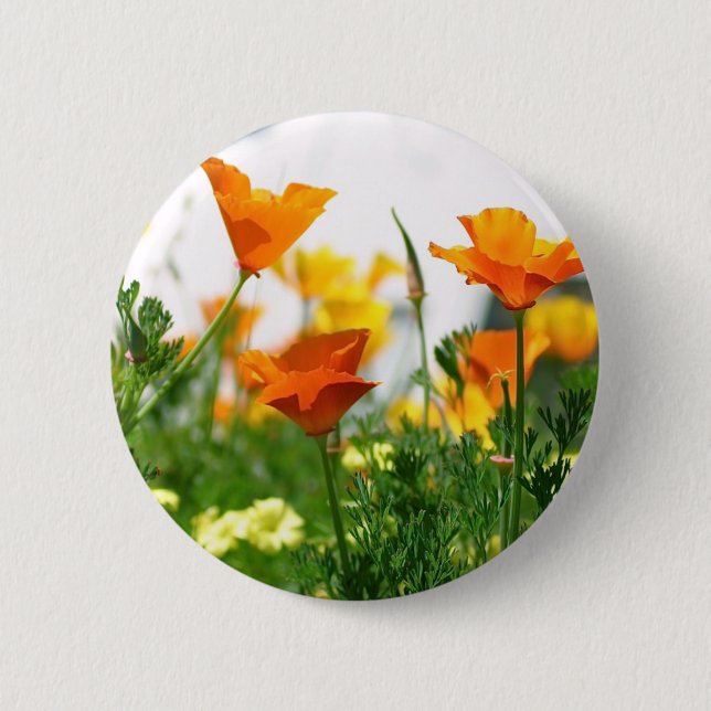 California Poppies Button (Vorderseite)