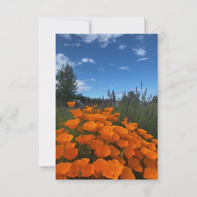 California Poppies & Lavender Mitteilungskarte (Vorderseite)