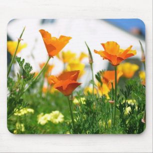 California Poppies Mousepad