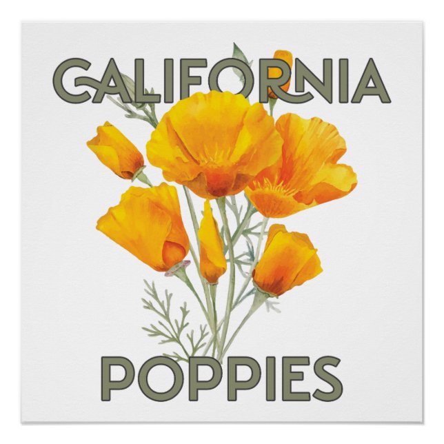 California Poppies Poster (Vorderseite)