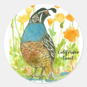 California Poppies Quail Bird Wassercolor Runder Aufkleber