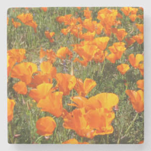 California Poppies Stone Untersetzer