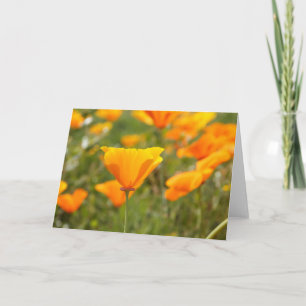 California Poppy Blank Greeting Card Karte