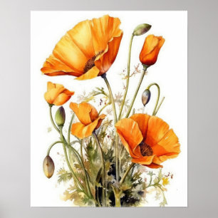 California Poppy Blume Art Print Poster