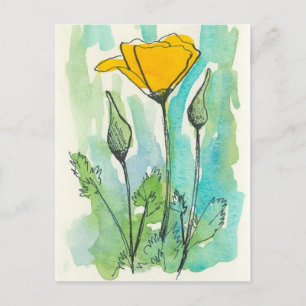 California Poppy Blume Bloom Spring Green Postkarte