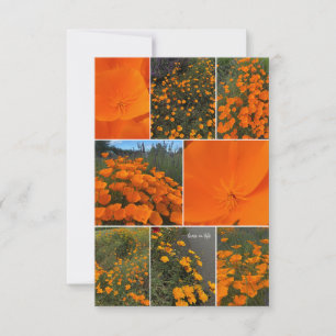 California Poppy Collage Mitteilungskarte