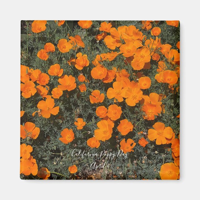 California Poppy Day Magnet (Vorne)