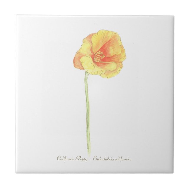 California Poppy Fliese (Vorderseite)