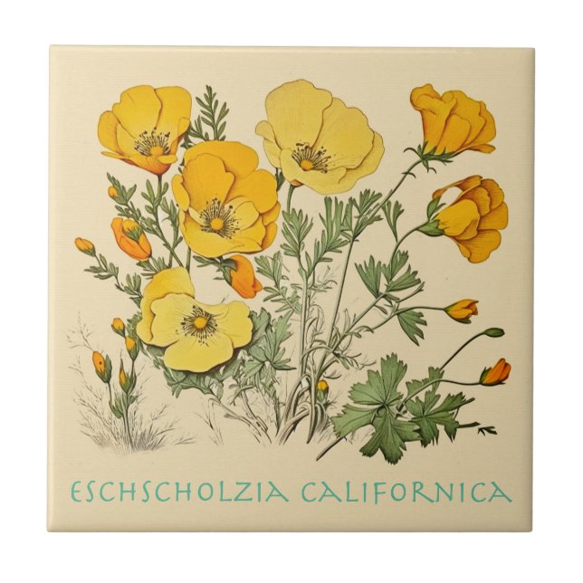 California Poppy Fliese (Vorderseite)