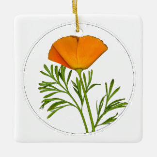 California Poppy in a Circle - Keramikornament
