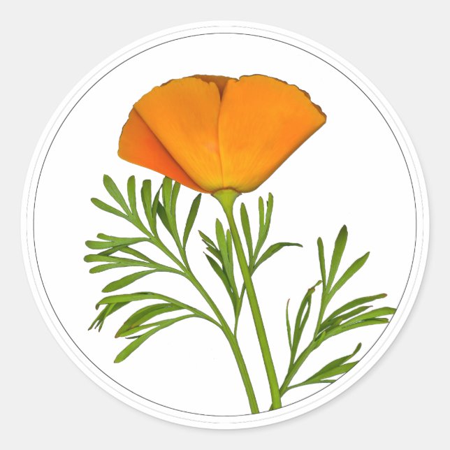 California Poppy in a Circle - Runder Aufkleber (Vorderseite)