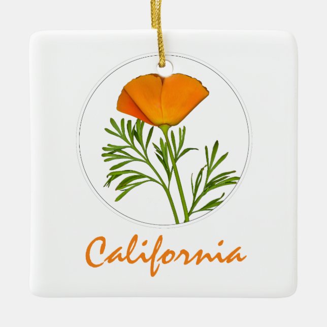 California Poppy in einem Zirkel, "California" Tex Keramikornament (Vorderseite)