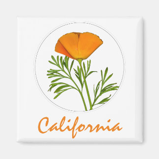 California Poppy in einem Zirkel, "California" Tex Magnet