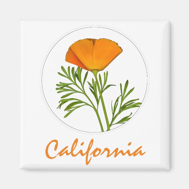 California Poppy in einem Zirkel, "California" Tex Magnet (Vorne)