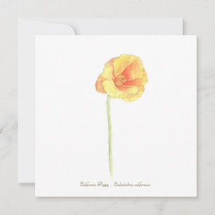 California Poppy Karte