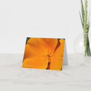 California Poppy Karte