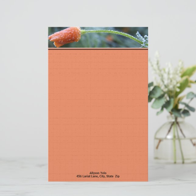 California Poppy Morning Frost Foto Personalisiert Briefpapier (Stehend Vorderseite)