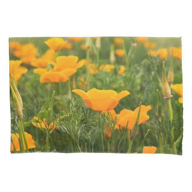California Poppy Patch Foto Kissenbezug (Vorderseite)