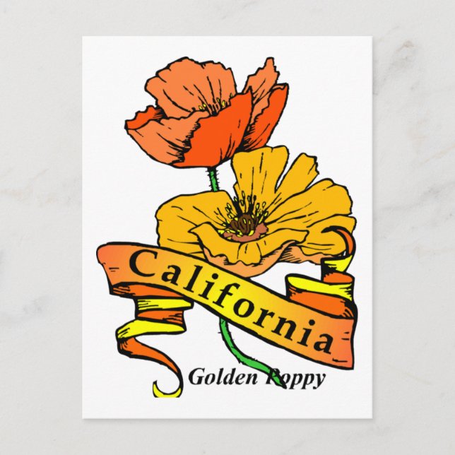 California Poppy Postkarte (Vorderseite)