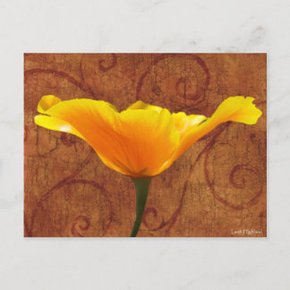 California Poppy Postkarte