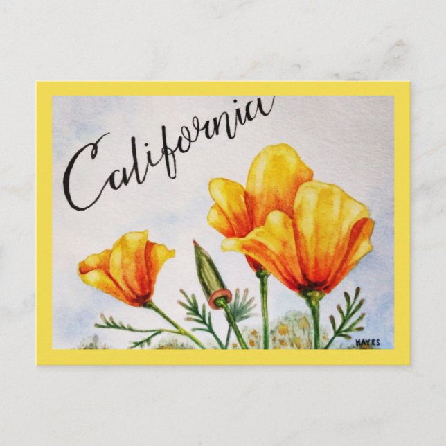 California Poppy Postkarte (Vorderseite)