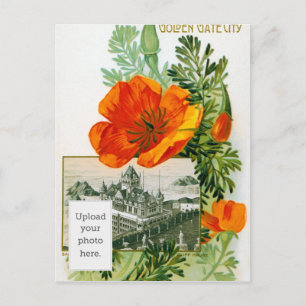 California Poppy Postkarte